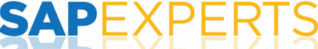SAP Experts